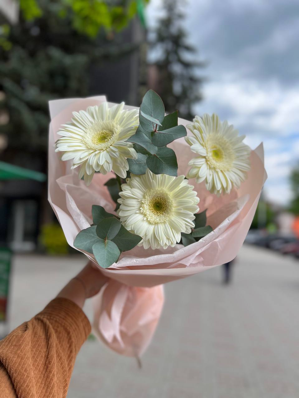 Гербери з евкаліптом