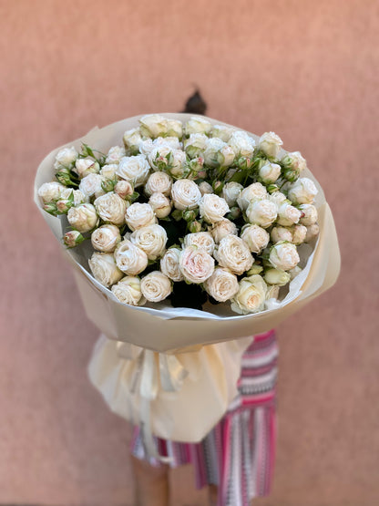 Кущова троянда Бомбастік 19 шт