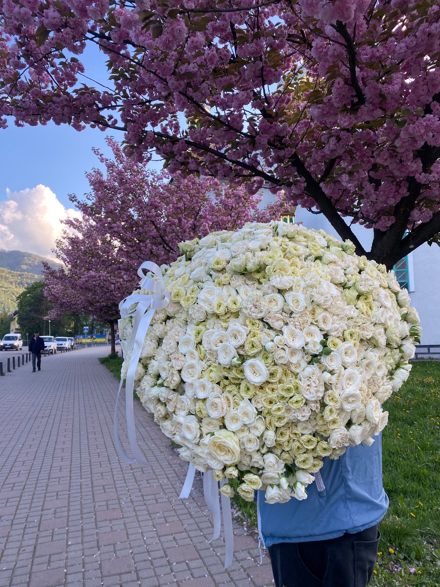 Кущова троянда 255 шт