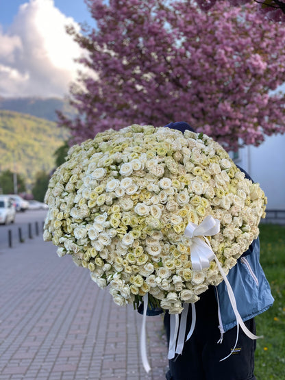 Кущова троянда 255 шт