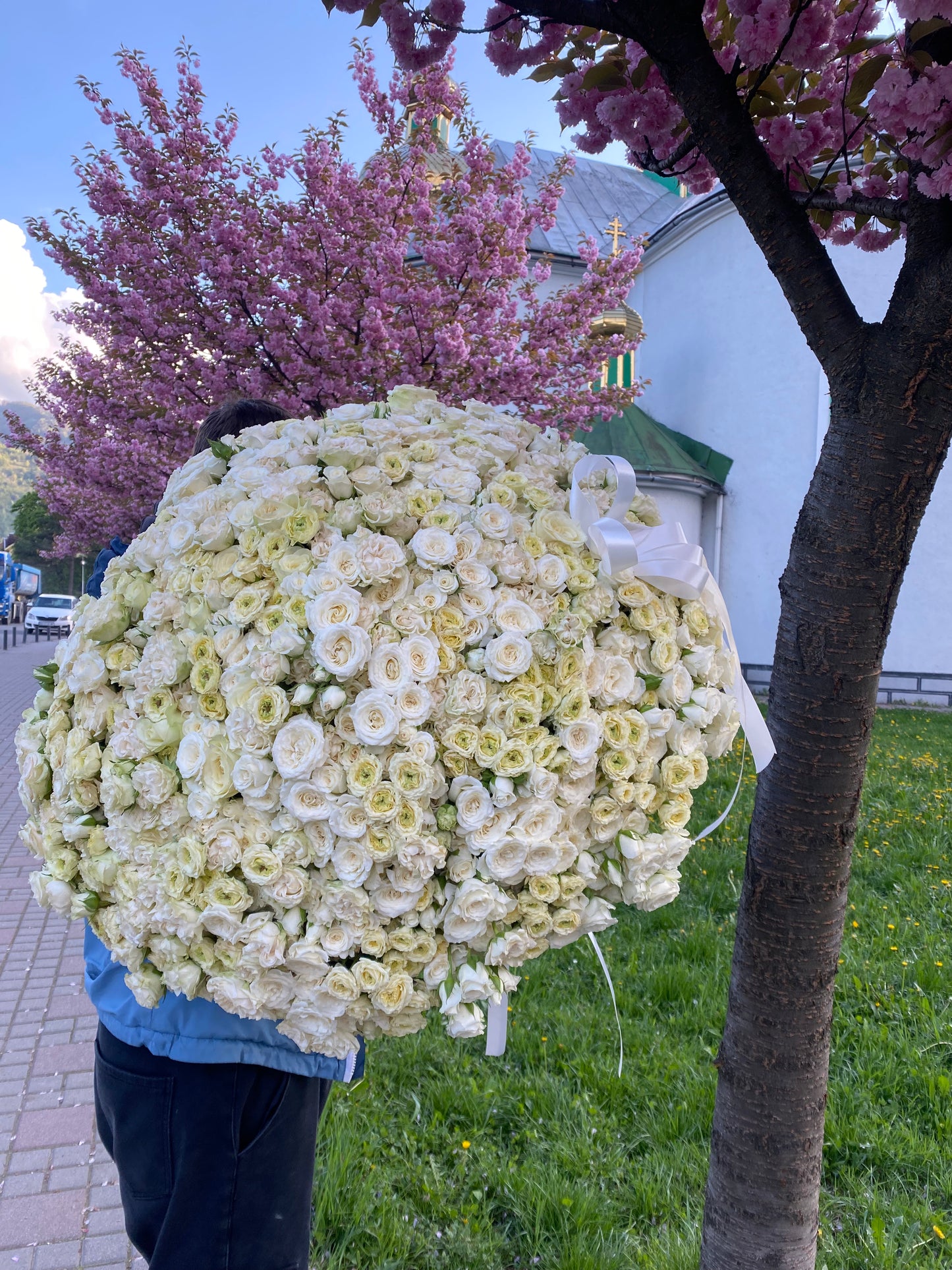 Кущова троянда 255 шт