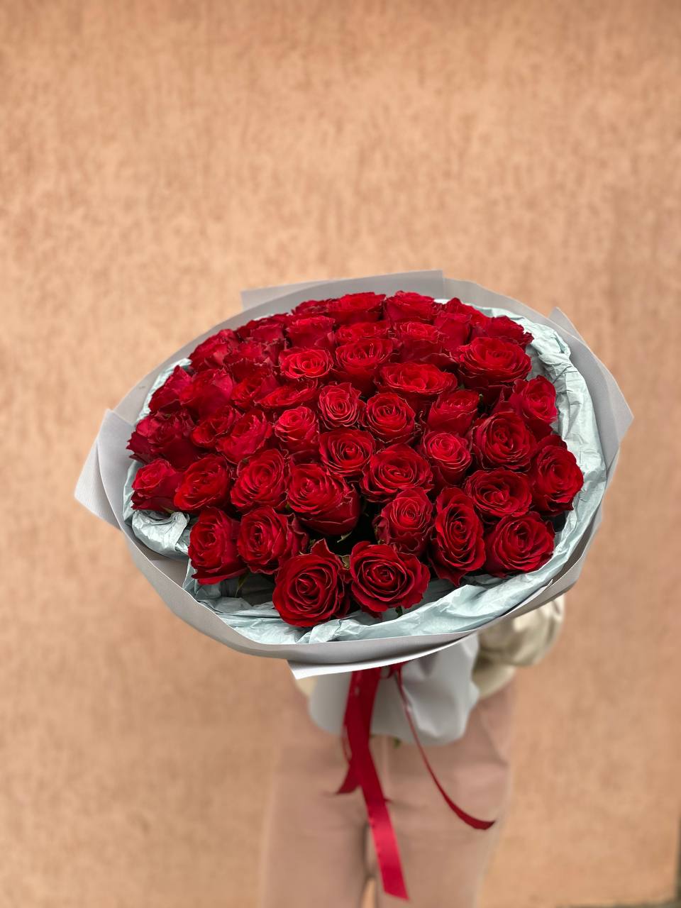 Троянда "Експловер" 51 шт