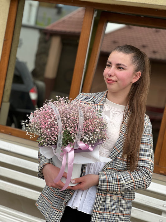 Композиція з гіпсофіли
