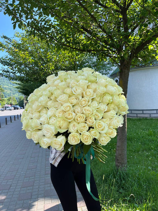 Моно букет з білих троянд 101 шт